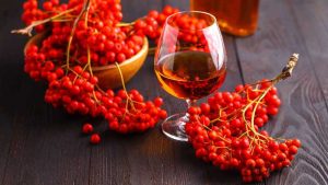 Liker od jarebike s konjakom