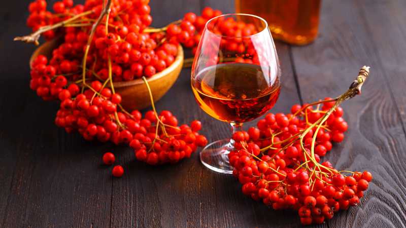 Liker od jarebike s konjakom